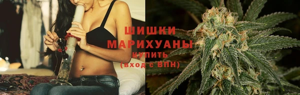 винт Абаза