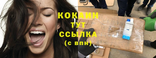 винт Абаза