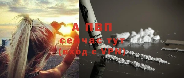 винт Абаза