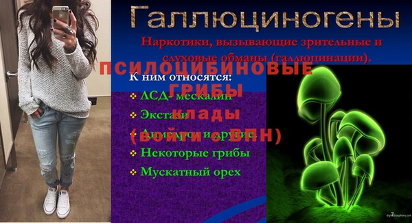 винт Абаза