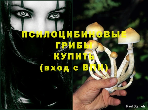 2c-b Абинск