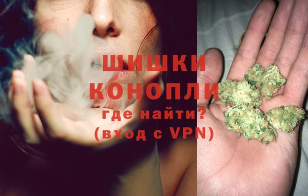 винт Абаза