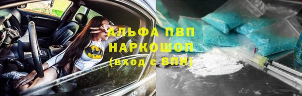 винт Абаза