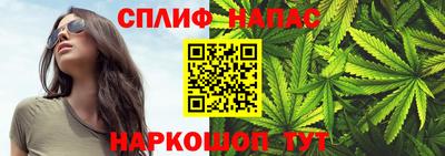 Альфа ПВП Пенза