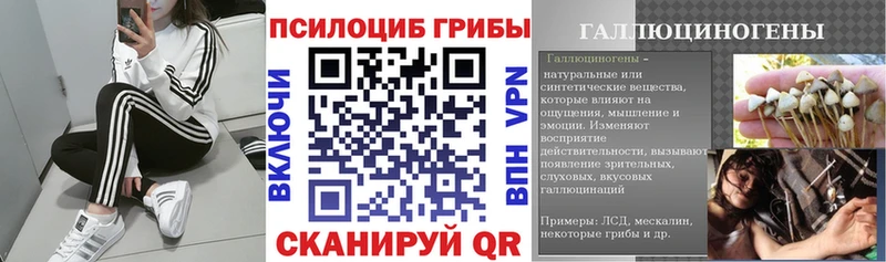 Псилоцибиновые грибы мухоморы Прокопьевск