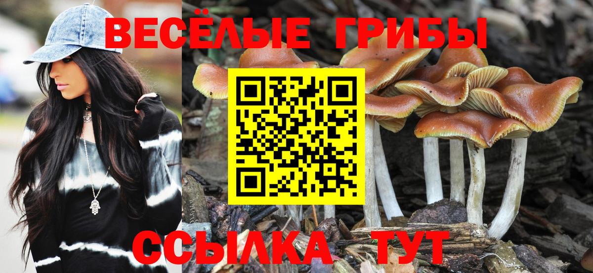 Прокопьевск  Псилоцибиновые грибы прущие грибы  Вход с VPN 