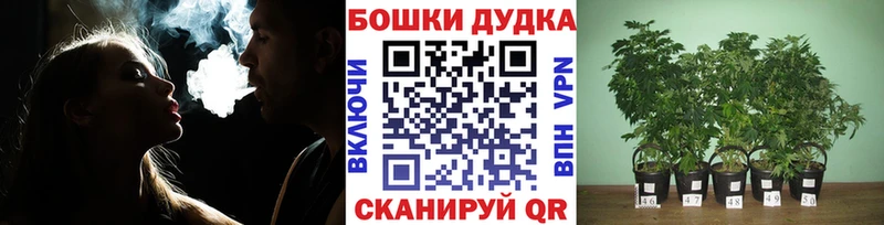 МАРИХУАНА MAZAR Прокопьевск